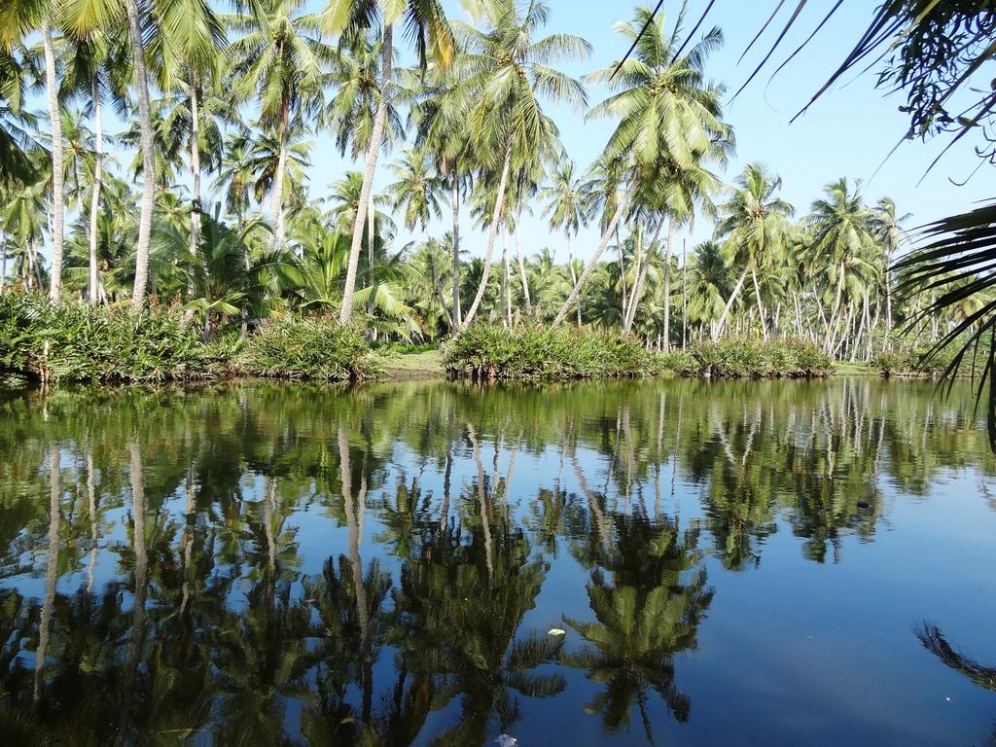 Wattala